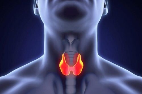 10 dấu hiệu nên nghĩ ngay tới bệnh lý tuyến giáp