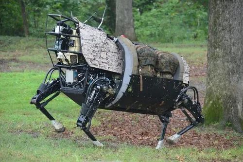 Ấn Độ dự định thay thế những con la hiện đang phục vụ trong quân đội bằng robot