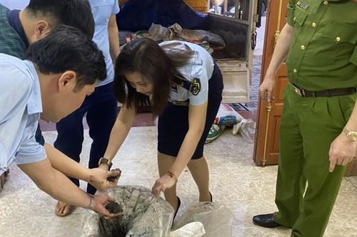 Thu giữ trên 2,8 tấn khoáng sản không có nguồn gốc hợp pháp