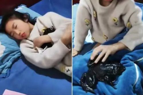Nghe tiếng động lạ trong phòng con gái, mẹ lật chăn lên phát hiện cảnh tượng 'sởn gai ốc'