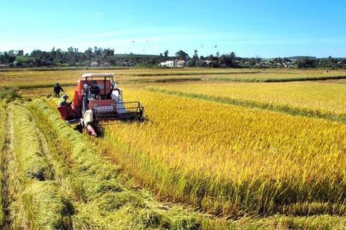 Kon Tum triển khai thực hiện Chương trình xây dựng nông thôn mới năm 2023