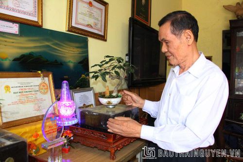 Lão nghệ nhân say mê 'bon sai bay'