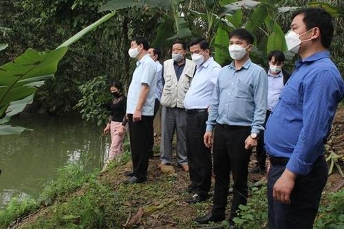 Thúc đẩy phát triển nguồn năng lượng tái tạo