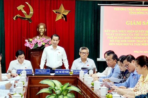 Thực hiện đồ án quy hoạch đô thị mới Nhơn Trạch - chậm đến bao giờ?