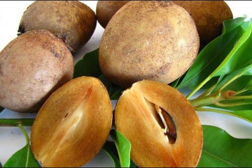 Ăn nhiều hồng xiêm có tốt không?
