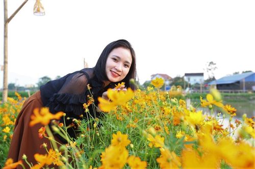 Người dân đổ xô đi 'check in' tại đường hoa sao nhái chạy giữa cánh đồng lúa