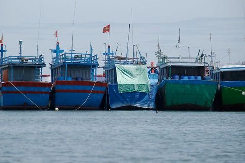 Đình chỉ Giám đốc và nhân viên Trung tâm đăng kiểm tàu cá cấp khống đăng kiểm