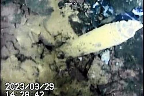 Nhật Bản: Đáy lò phản ứng hạt nhân Fukushima Daiichi hư hại nghiêm trọng