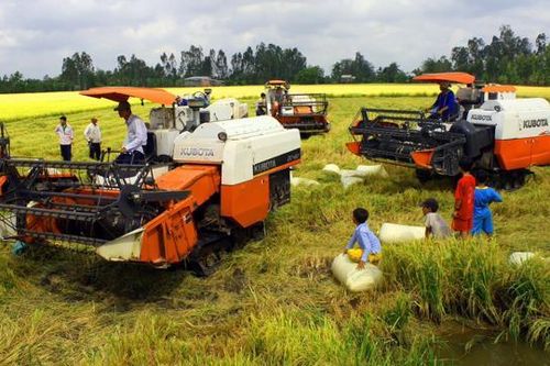 Xây dựng diễn đàn chia sẻ mô hình HTX thích ứng với biến đổi khí hậu