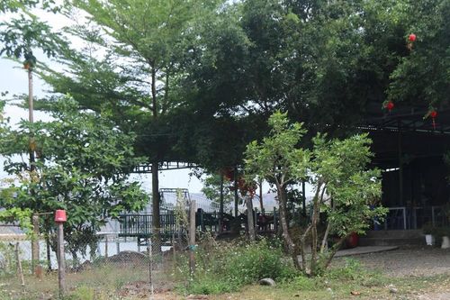 Bát nháo lấn chiếm ao hồ, hành lang đường bộ