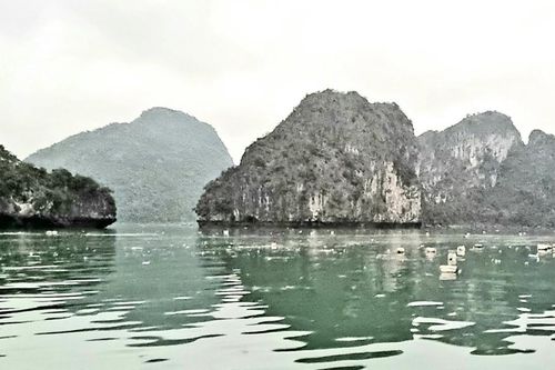Yêu cầu báo cáo việc rác thải ngập trên vịnh Hạ Long và vịnh Lan Hạ
