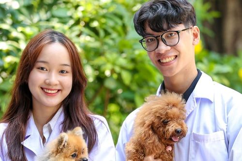 Học ngành Thú Y ở Đại học như thế nào?