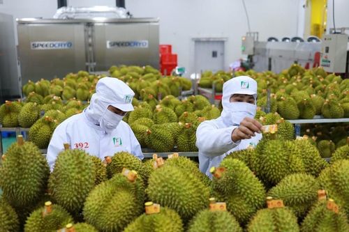Nông sản Việt cần tập trung một vài sản phẩm nổi bật