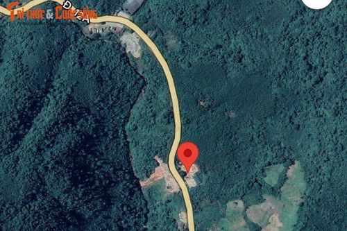Quảng Bình: Doanh nghiệp lấn chiếm hàng nghìn mét vuông đất rừng biên giới