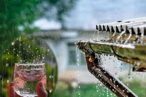 Uống nước mưa liệu có an toàn?