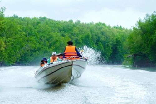 Du lịch Cà Mau: Thích thú từ rừng đước đến rừng tràm