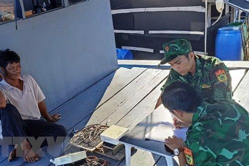 Ngăn chặn hành vi tháo gỡ, giấu thiết bị giám sát hành trình tàu cá