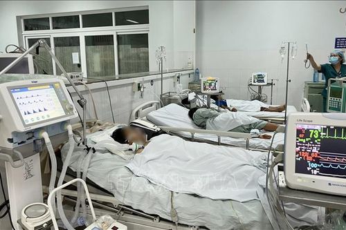 Có 7/9 nạn nhân ngộ độc do ăn cá chép muối ủ chua được xuất viện