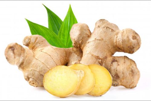 Những bài thuốc trị ho lâu ngày không khỏi hiệu quả cao