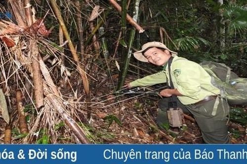Phát hiện nhiều cá thể rùa quý hiếm tại Khu bảo tồn Thiên nhiên Xuân Liên