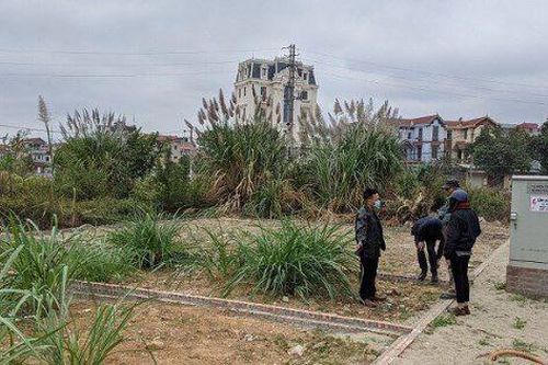 Chuyên gia: Giá bất động sản chưa chạm đáy
