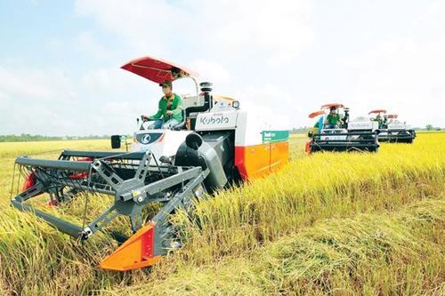 Ứng dụng công nghệ, kỹ thuật mới để tăng lợi nhuận cho nghề trồng lúa