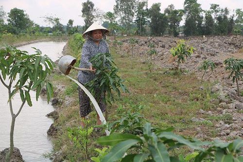 Người dân vùng Dự án cao tốc Cao Lãnh - An Hữu khẩn trương bàn giao mặt bằng cho chủ đầu tư