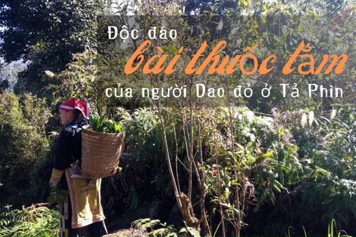 Độc đáo bài thuốc tắm của người Dao đỏ ở Tả Phìn