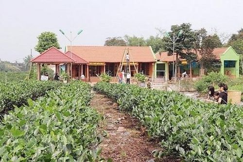 Thái Nguyên: Xã Nông thôn mới Tân Cương có gì mới?