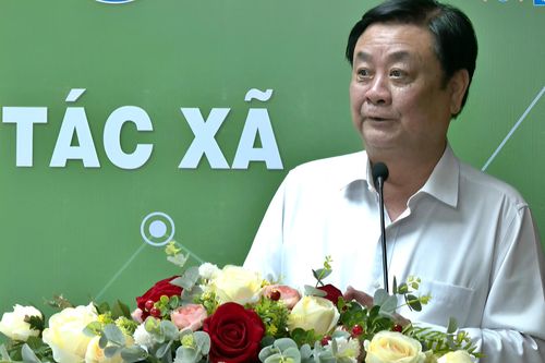 Hợp tác xã gắn kết 'bằng niềm tin' nên không thể nhìn nhận như doanh nghiệp