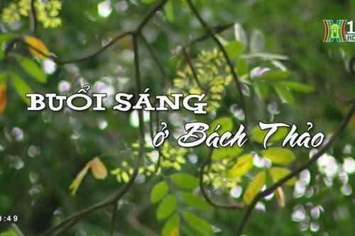 Buổi sáng ở Bách Thảo (Nhịp sống Hà Nội ngày 06/04/2023)