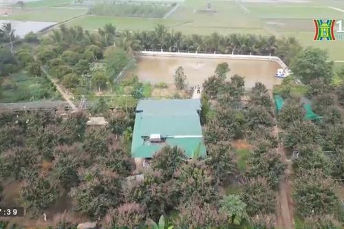 Hà Nội có 700 dự án chậm triển khai