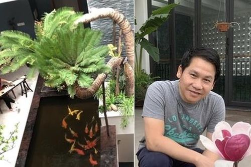 Đăng clip con gái đánh đàn bên hồ cá Koi, Trọng Tấn để lộ không gian bao người mơ ước