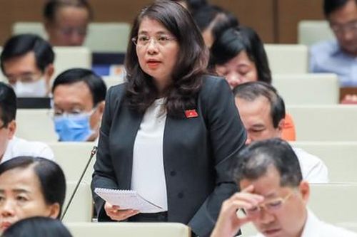 Quốc hội luôn đồng hành với Chính phủ thực hiện giải pháp phát triển KT-XH
