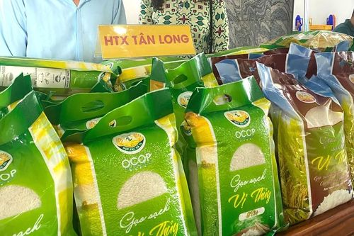 Cần hỗ trợ hợp tác xã và người dân trong chuyển đổi sản xuất nông nghiệp thích ứng với biến đổi khí hậu
