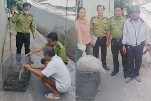 Tận mục trăn đất khủng 10 kg 'đột nhập' nhà dân ở TP.HCM
