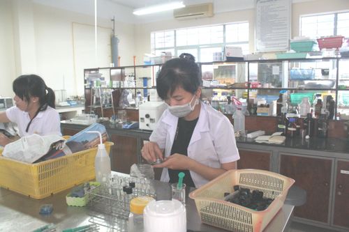 Đồng bằng sông Cửu Long cần thay đổi cơ cấu, ngành nghề đào tạo