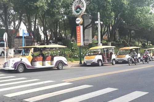 Lâm Đồng: Không chấp thuận đề xuất đưa xe điện chở du khách nội thành Đà Lạt