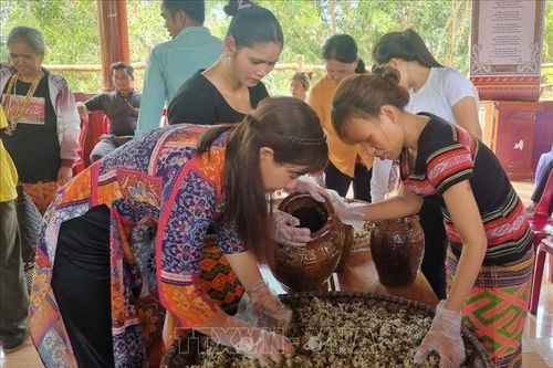 Bảo tồn kỹ thuật chế biến rượu cần truyền thống của người S'tiêng
