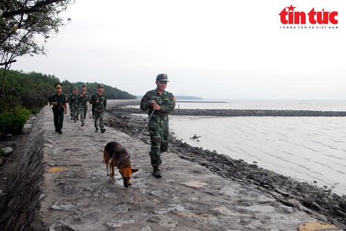 Bộ đội Biên phòng TP Hồ Chí Minh nêu cao tinh thần học tập, noi gương Bác Hồ