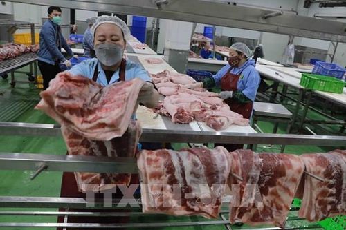 Hà Nội cơ bản đáp ứng được sản phẩm thịt, trứng gia cầm