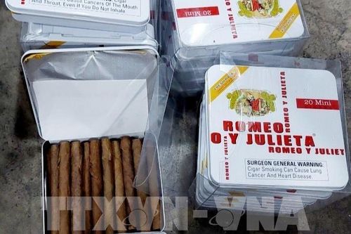 Tp. Hồ Chí Minh tạm giữ gần 7.000 điếu xì gà ngoại nhập