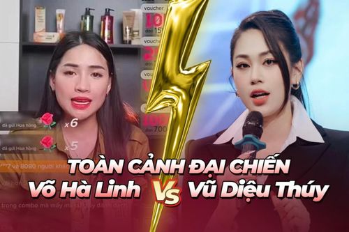 Toàn cảnh màn đấu tố giữa 'chiến thần' Võ Hà Linh và doanh nhân Vũ Diệu Thúy