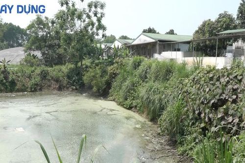 Hà Tĩnh: Trang trại lợn 'hành dân'