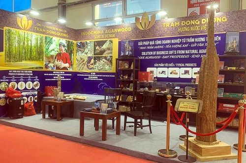 Cây trầm bông nguyên khối thế đứng lớn nhất Việt Nam xuất hiện tại Hội chợ Vietnam Expo 2023