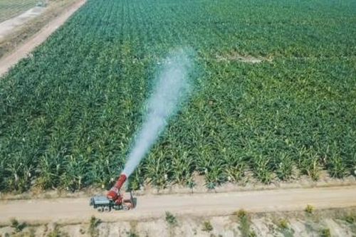 Cổ phiếu HNG của HAGL Agrico bị đưa vào diện kiểm soát