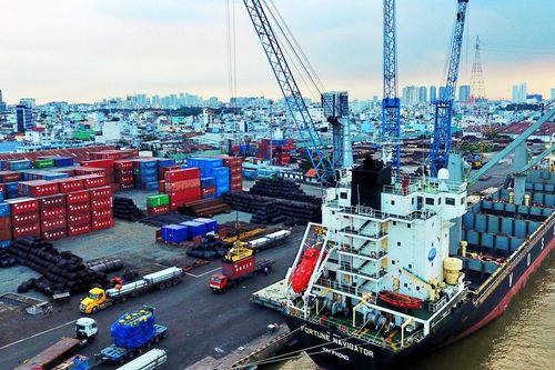 Hãng logistics Nga muốn đặt cảng trung chuyển hàng hóa vào ASEAN tại TP HCM