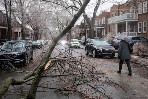 Bão tuyết nghiêm trọng ở Canada làm hơn một triệu người mất điện, trường học đóng cửa