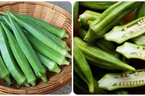 Đậu bắp - thực phẩm quen thuộc rẻ tiền chống ung thư cực tốt