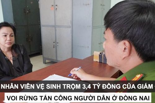 Tin nóng: Nữ nhân viên vệ sinh trộm 3,4 tỷ đồng của giám đốc; Voi rừng tấn công người dân ở Đồng Nai